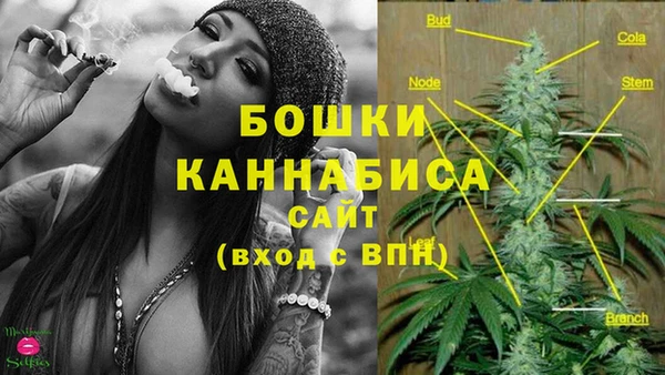 таблы Бородино