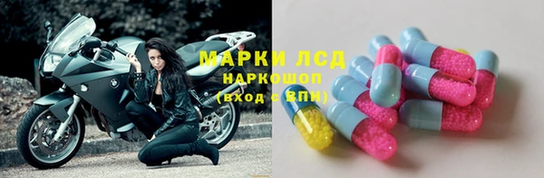 таблы Бородино