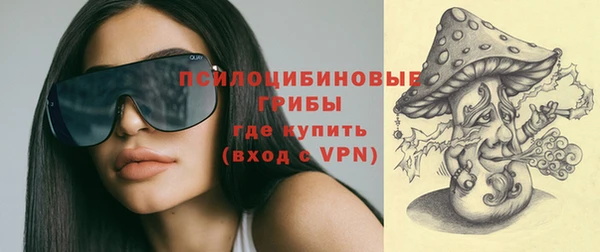 крисы Бронницы