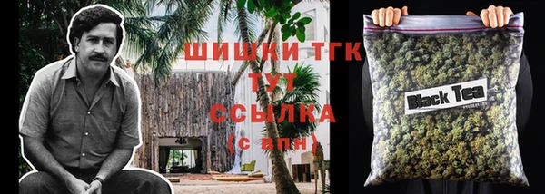 крисы Бронницы