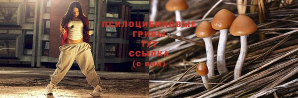 крисы Бронницы