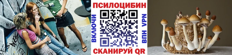 Псилоцибиновые грибы Psilocybine cubensis  Клинцы 